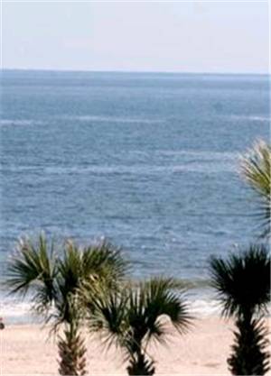 Ocean Song At Beachside Colony Daire Tybee Island Dış mekan fotoğraf